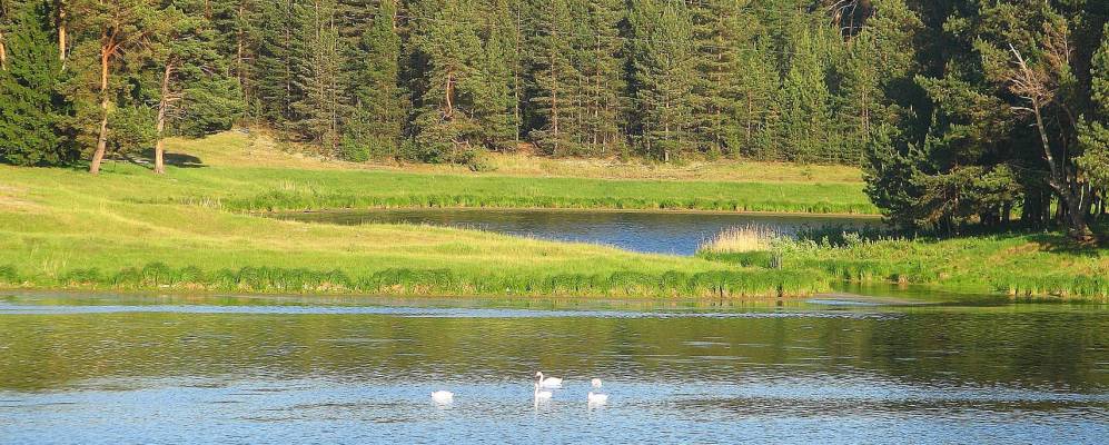 Фотография Кожлы