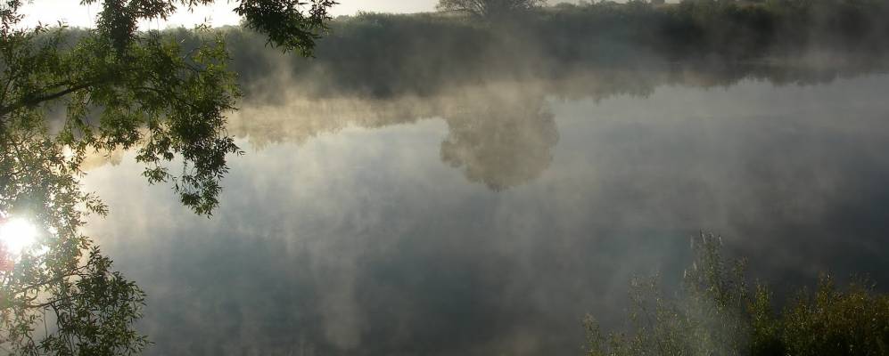 
            Фотография Завода