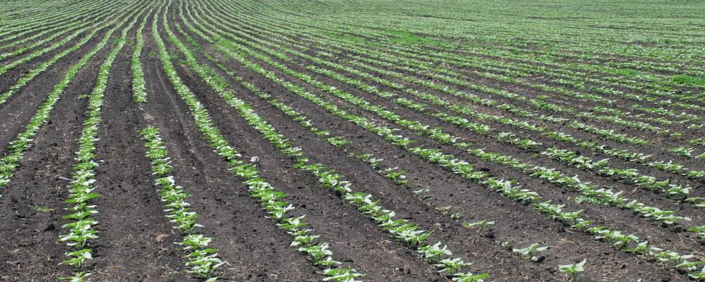 
            Фотография Мохового