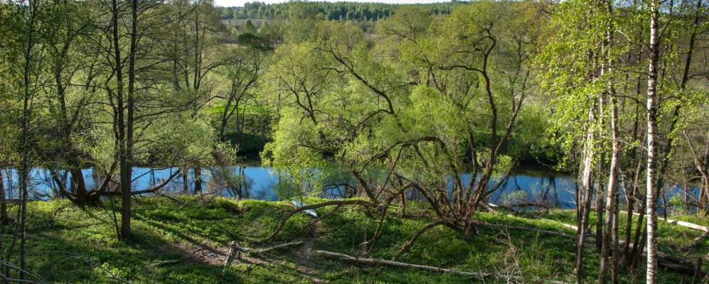 
            Фотография деревни Новоселки