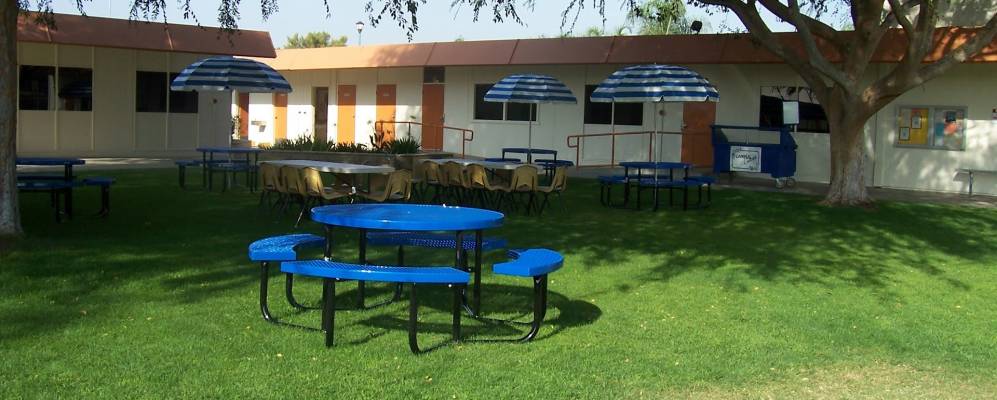 
            Фотография Ламонта