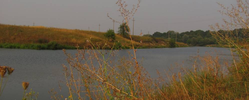 
            Фотография Богородицкого