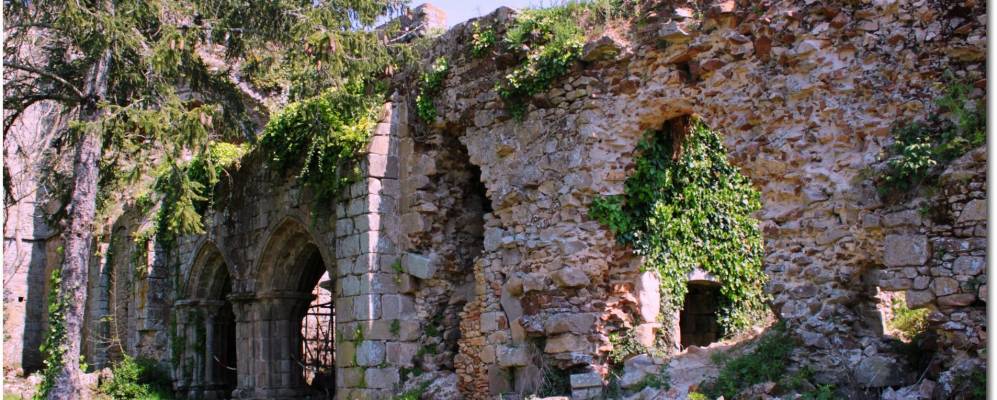 
            Фотография Венансо