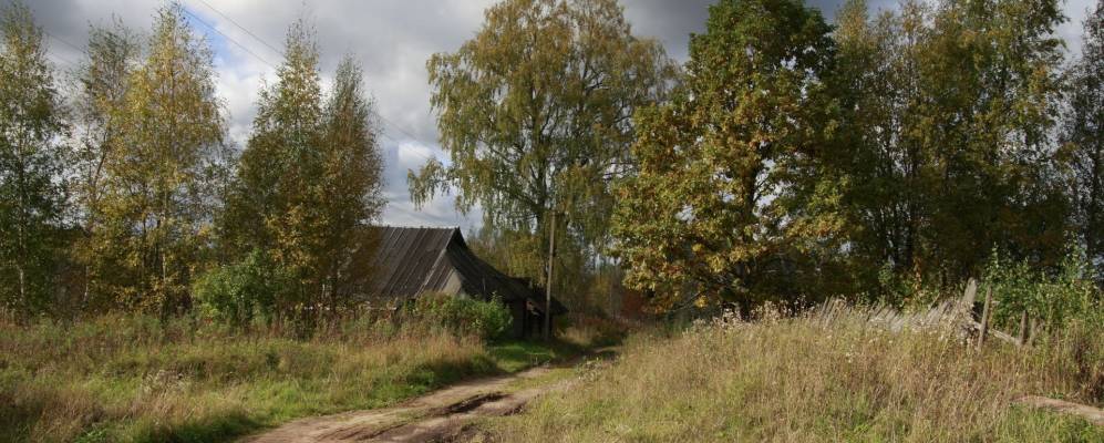 Фотография Поддубья