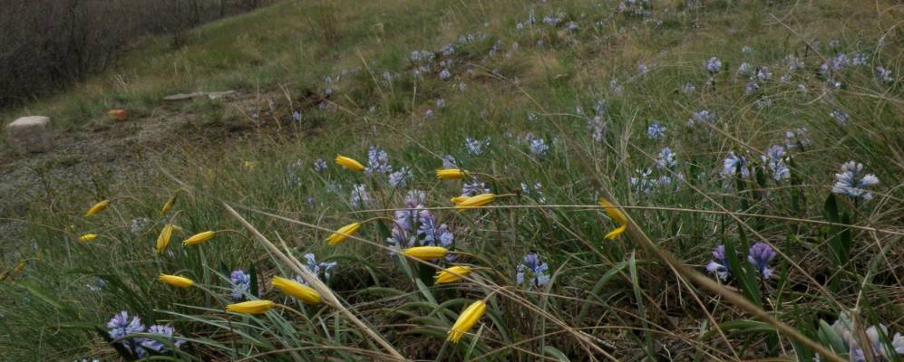 
            Фотография Матвеевки