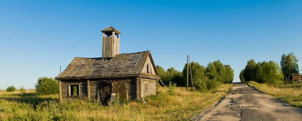 
            Фотография Полевого