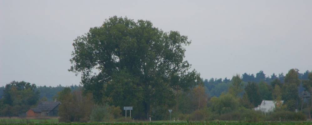 
            Фотография деревни Нивищи