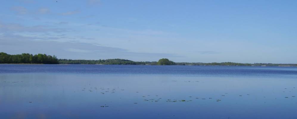 Фотография Власково