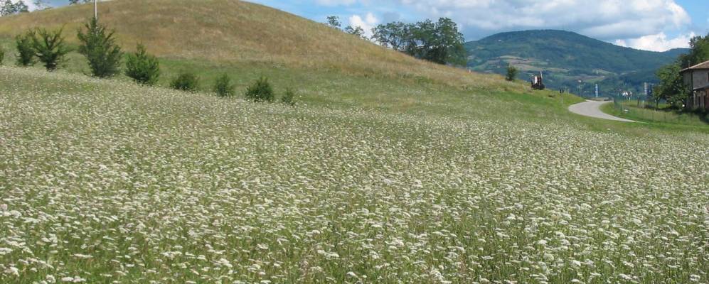 
            Фотография Марцаботто