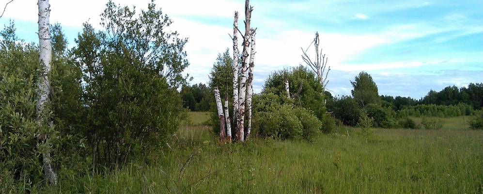 
            Фотография Шабуров