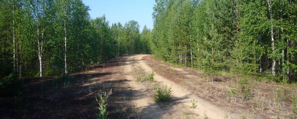 
            Фотография Коды