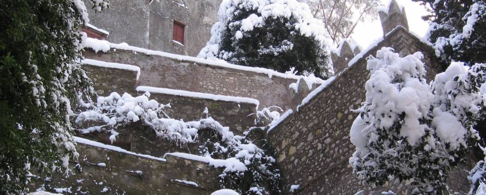 
            Фотография Манделы