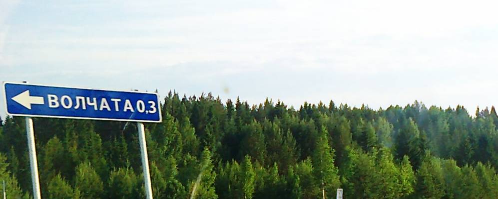 Фотография Волчат