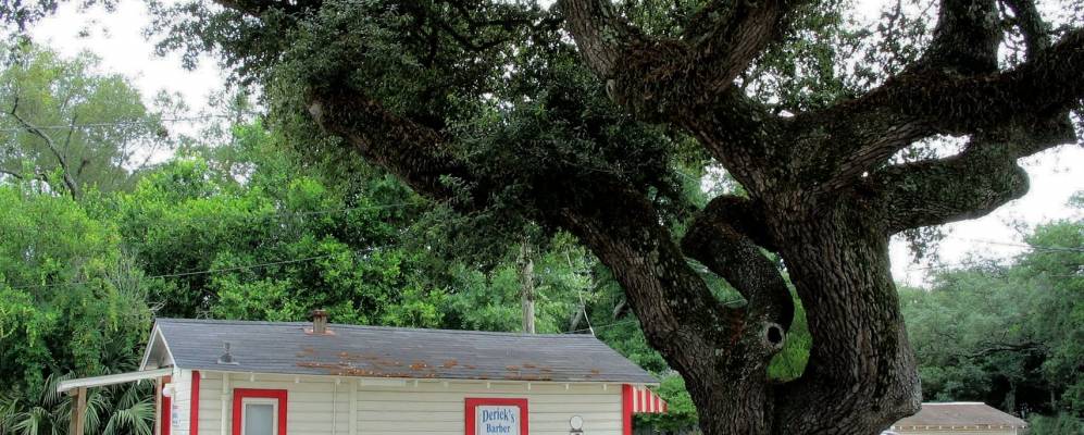 
            Фотография East Pensacola Heights