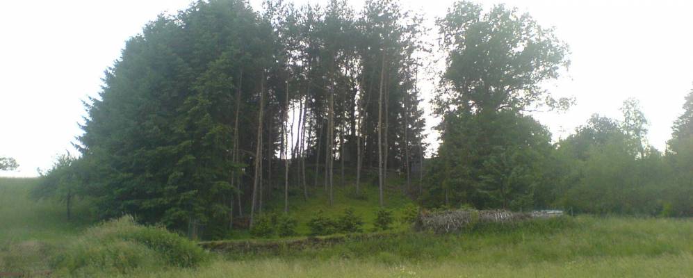 
            Фотография Миттенаара