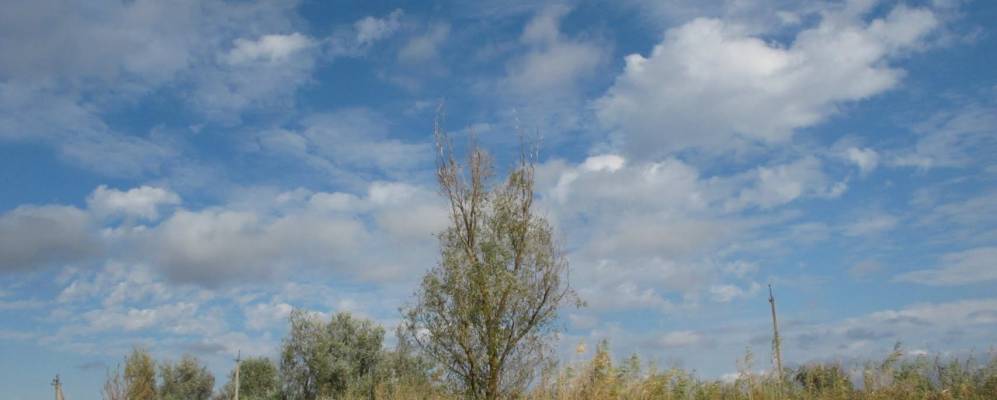 
            Фотография Янтарного