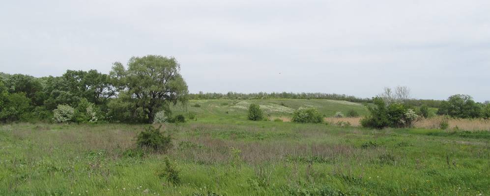 
            Фотография Демурино-Варваровки