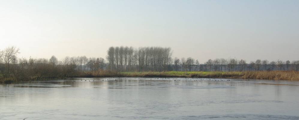 Фотография Монтфорта