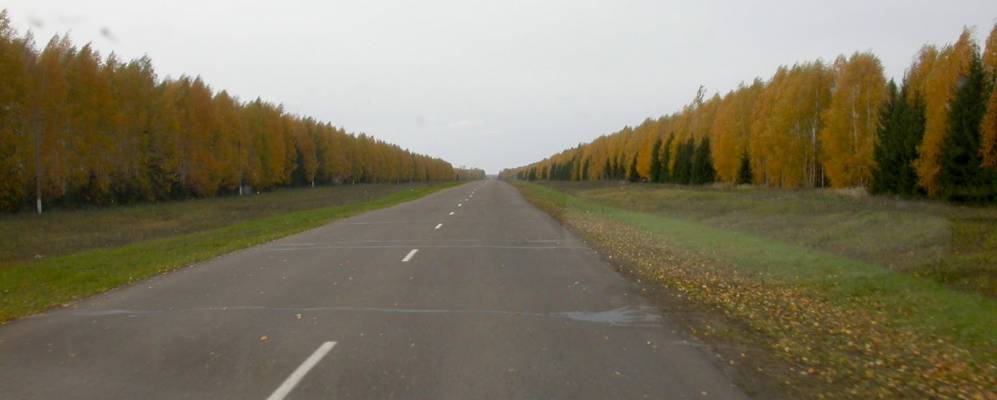 
            Фотография Бугровки