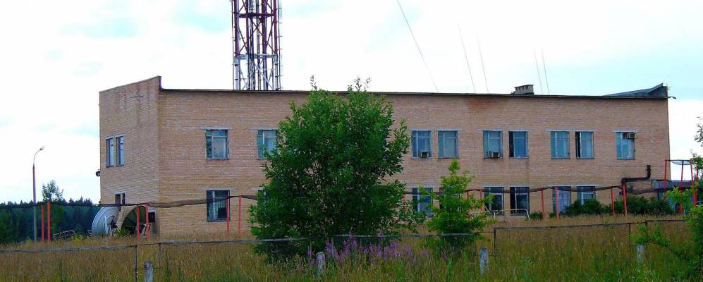 
            Фотография Шишкино