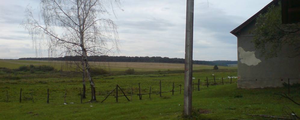 
            Фотография Красницы