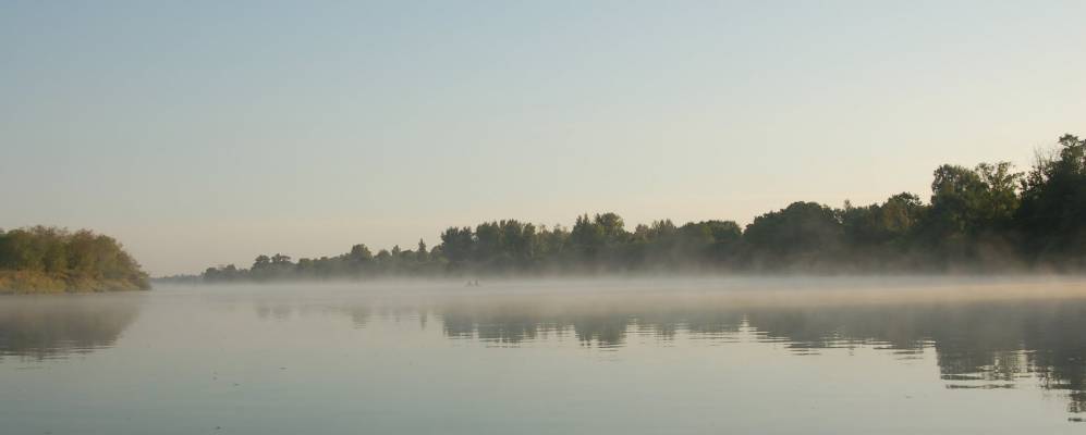 
            Фотография Осинок