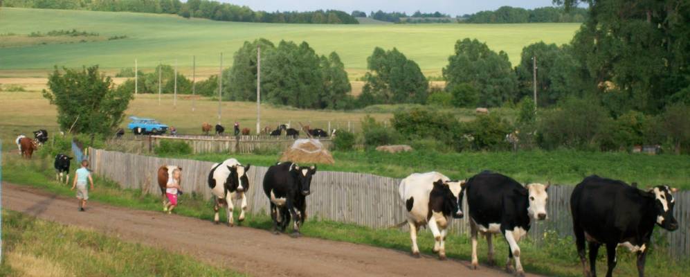 
            Фотография Старого Орьебаша