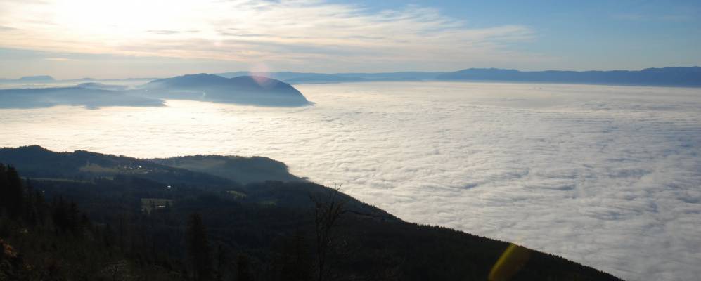 
            Фотография Сасель