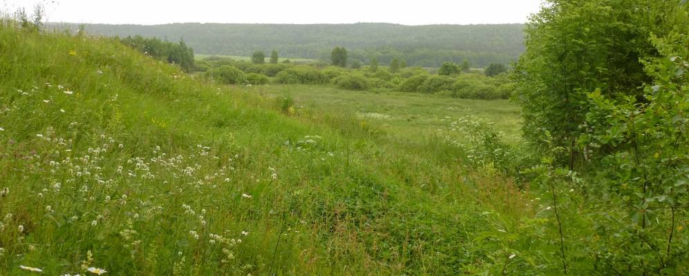 
            Фотография Тюняря