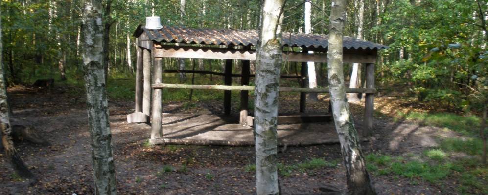 
            Фотография Омыльного