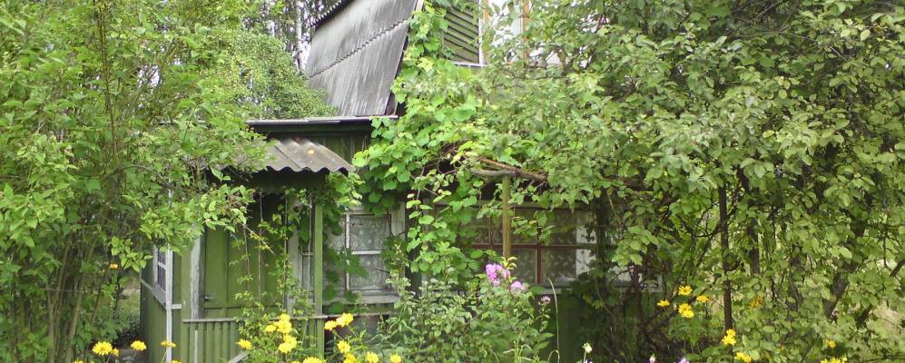 Фотография Михалина