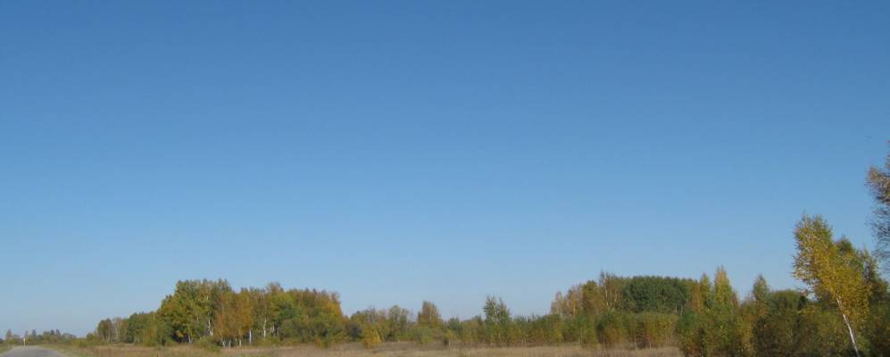 
            Фотография Синельниково