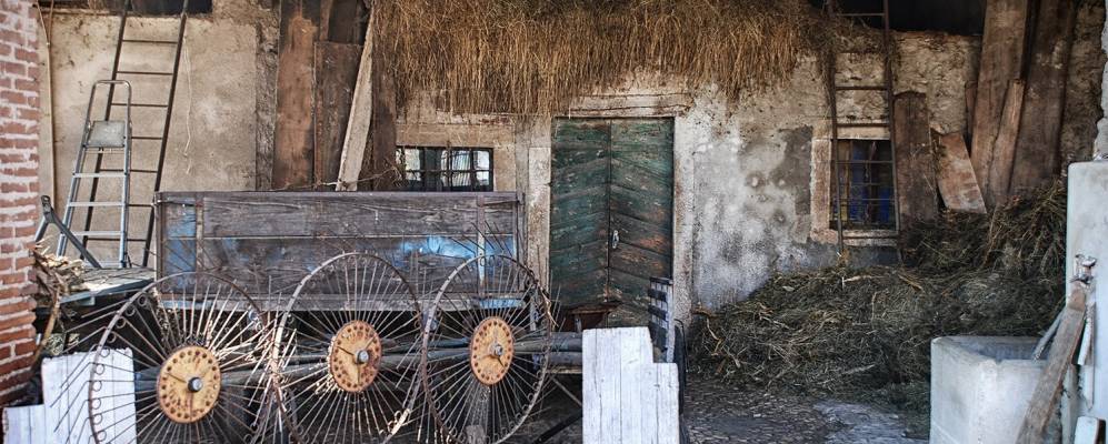 
            Фотография Тьене