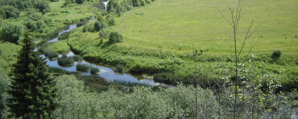 
            Фотография Пиево
