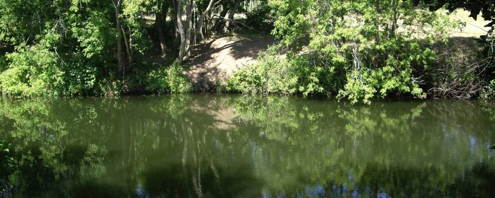 
            Фотография Музалево