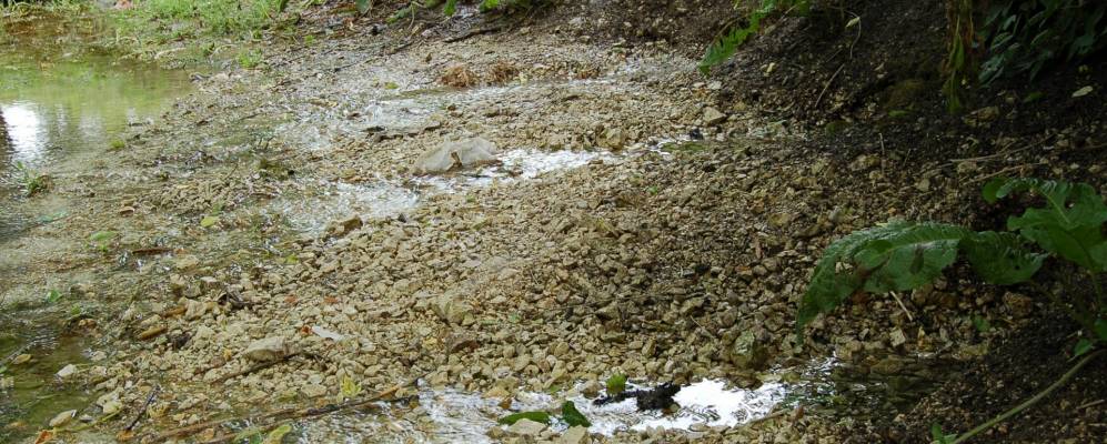 Фотография Березника