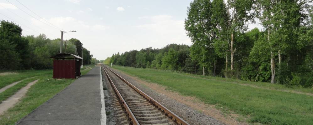 Фотография деревни Липинки