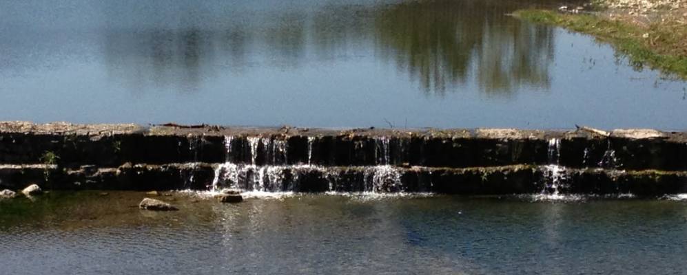 
            Фотография Саладо