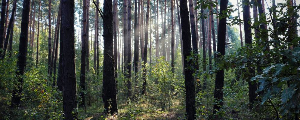 
            Фотография Якимовки