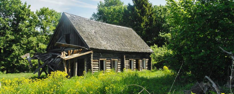 
            Фотография Дмитриевки