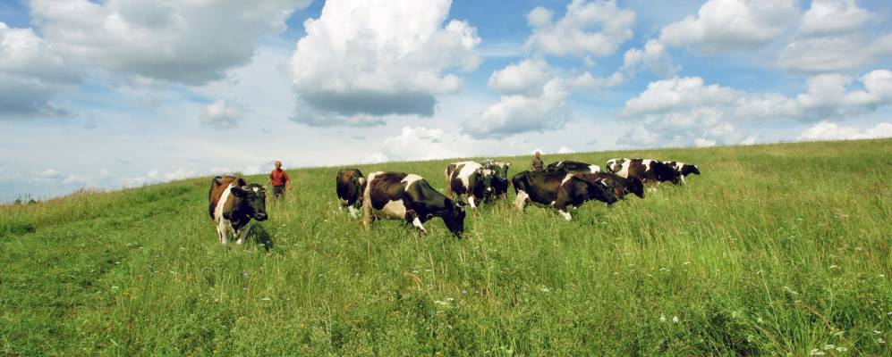 
            Фотография Корсабаша