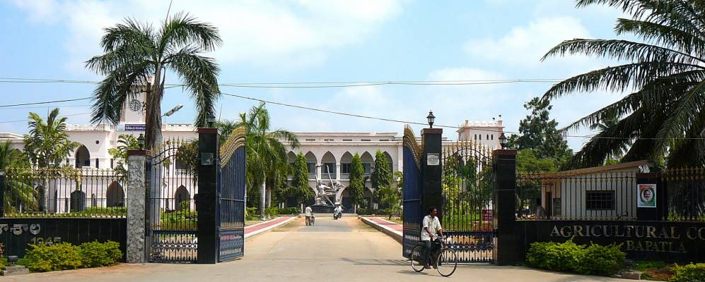 
            Фотография Бапатлы