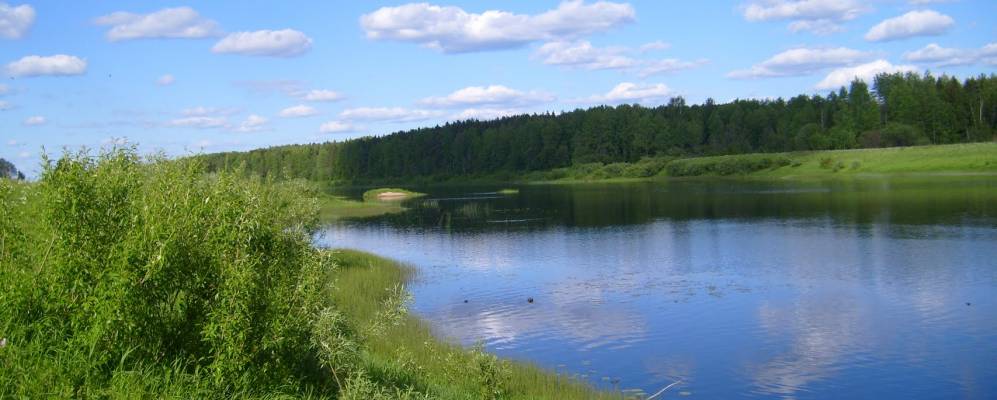 
            Фотография Истоминского