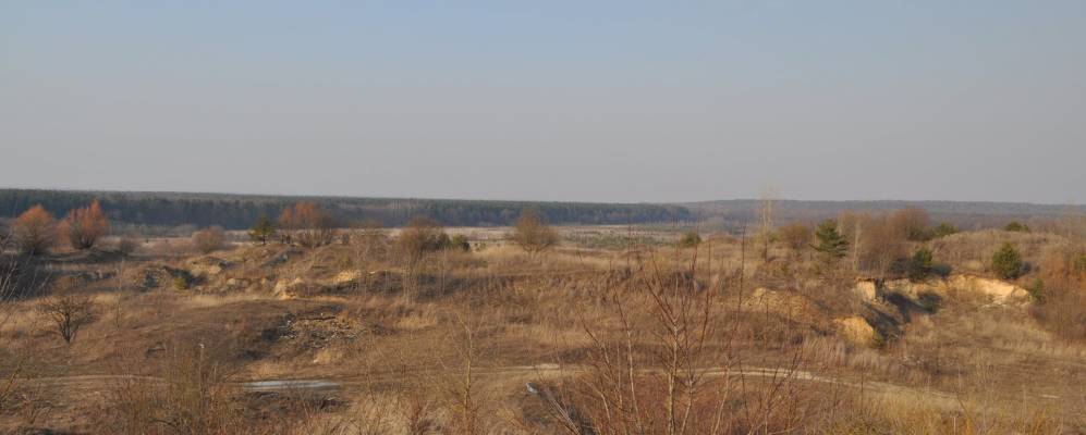 
            Фотография Башина