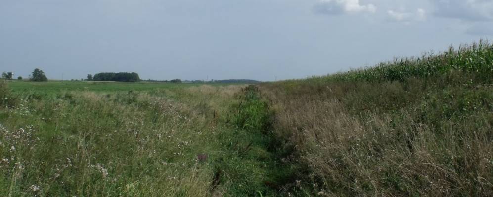 
            Фотография Прогресса