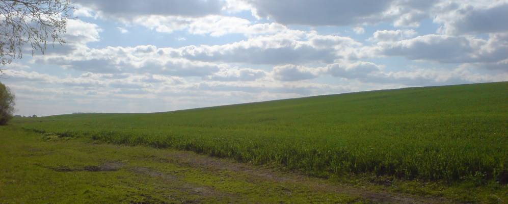 
            Фотография Великие Жеребки