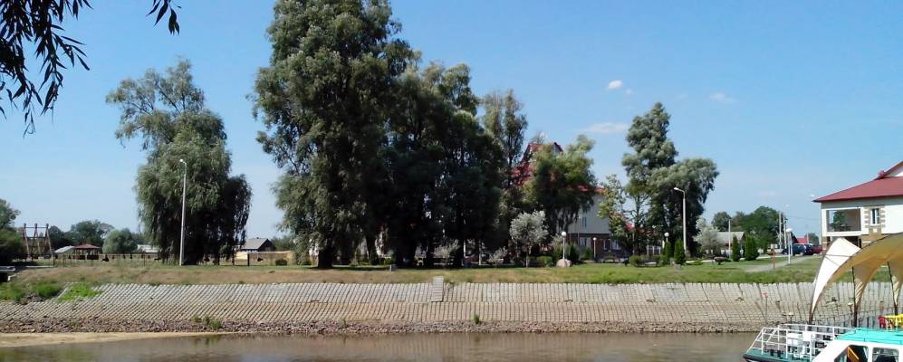 
            Фотография Бокланя