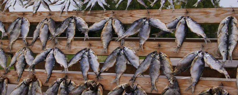 Фотография Скорынино