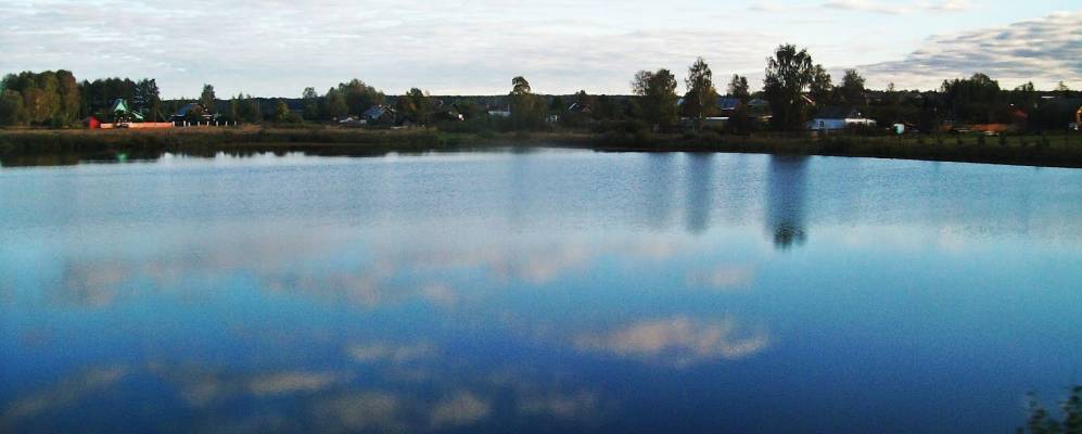 
            Фотография Новинок