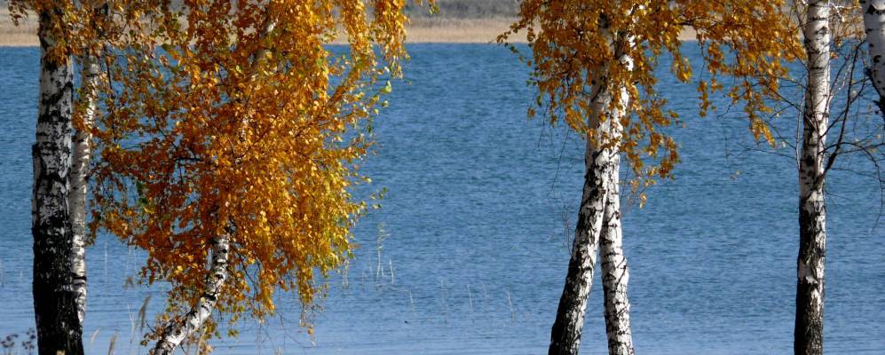 
            Фотография Анфалово